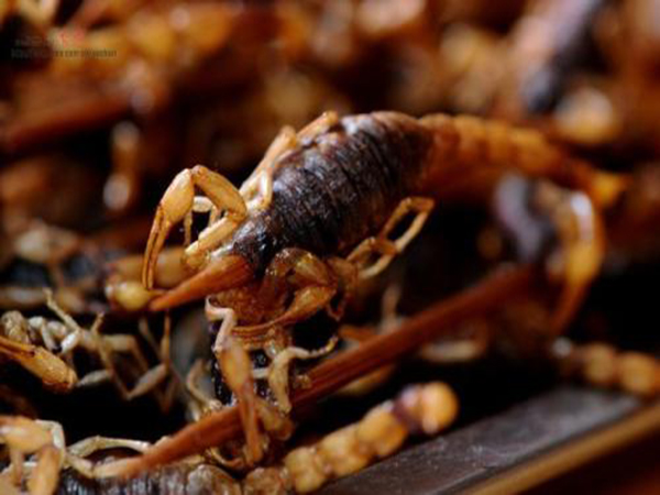 油炸蝎子一次能吃多少？一周吃几次？