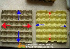 蝎子养殖的关键难点在哪（蜕皮秘诀）