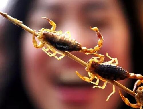 吃蝎子的好处和坏处你了解吗？油炸蝎子一次能吃多少？